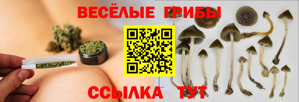 Псилоцибиновые грибы Magic Shrooms  Вход с VPN  Родники 